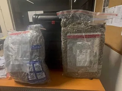 Incautan casi 29 libras de marihuana en el Aeropuerto Las Américas