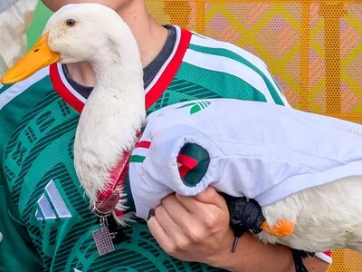 Gobierno mexicano entrega vivienda social a dueña del pato Merlín