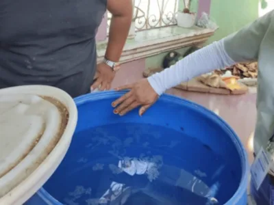 Casos de dengue igualan registros del año pasado en República Dominicana