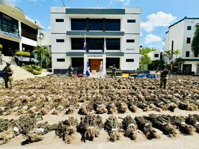 Liberan a tres hombres vinculados a plantación de marihuana en Ocoa