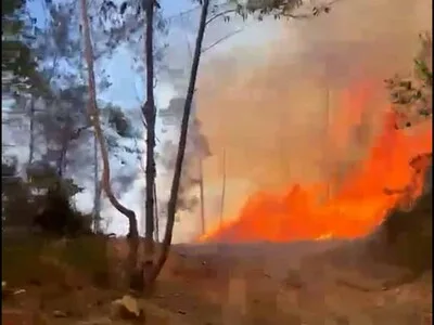 Incendio forestal bajo control parcial en San José de las Matas