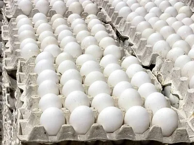 República Dominicana reactiva exportaciones de huevos hacia el mercado cubano