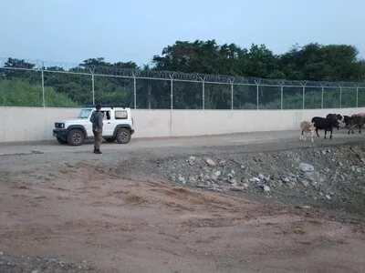 Ejército frustra contrabando de 18 reses hacia Haití en Dajabón