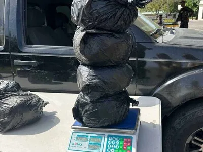 Decomisan 84 libras de marihuana en operativo conjunto en Azua