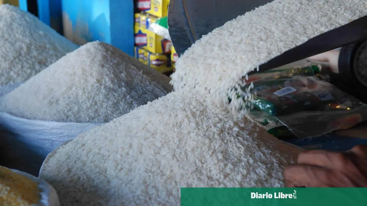 Fenarroz apoya negociaciones gubernamentales para proteger la producción local de arroz