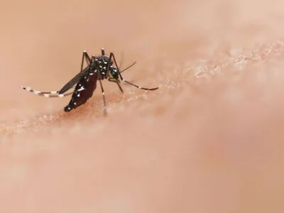 Salud Pública registra 16 nuevos casos de dengue en el país