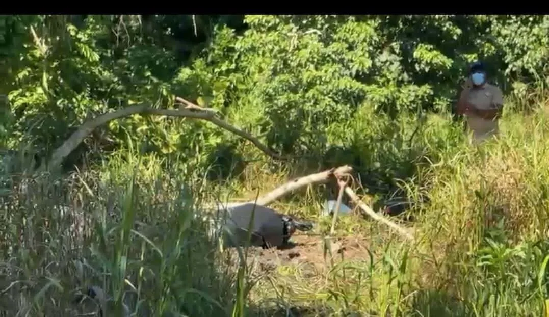 Cuerpo enterrado encontrado en Nagua de joven desaparecido hace 16 días